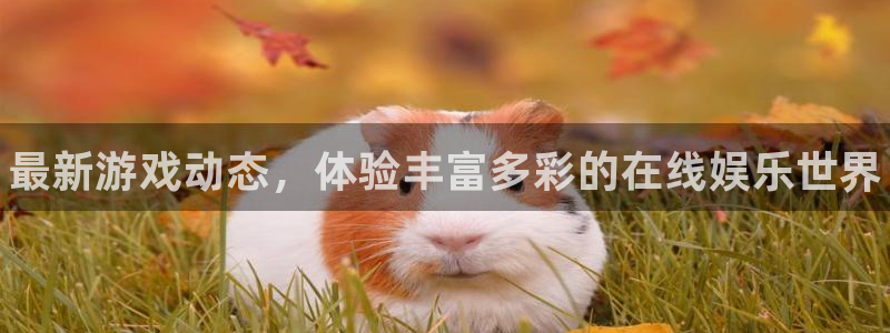 欧博娱乐注册官方登录app：最新游戏动态，体验丰富多彩的在线