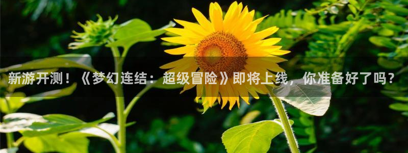 沐春欧博娱乐：新游开测！《梦幻连结：超级冒险》即将上线，你准