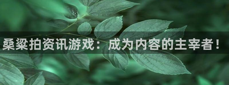 欧博娱乐注册测速：桑粱拍资讯游戏：成为内容的主宰者！
