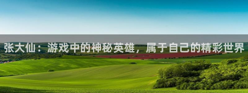 欧博娱乐平台官网客服电话：张大仙：游戏中的神秘英雄，属于自己